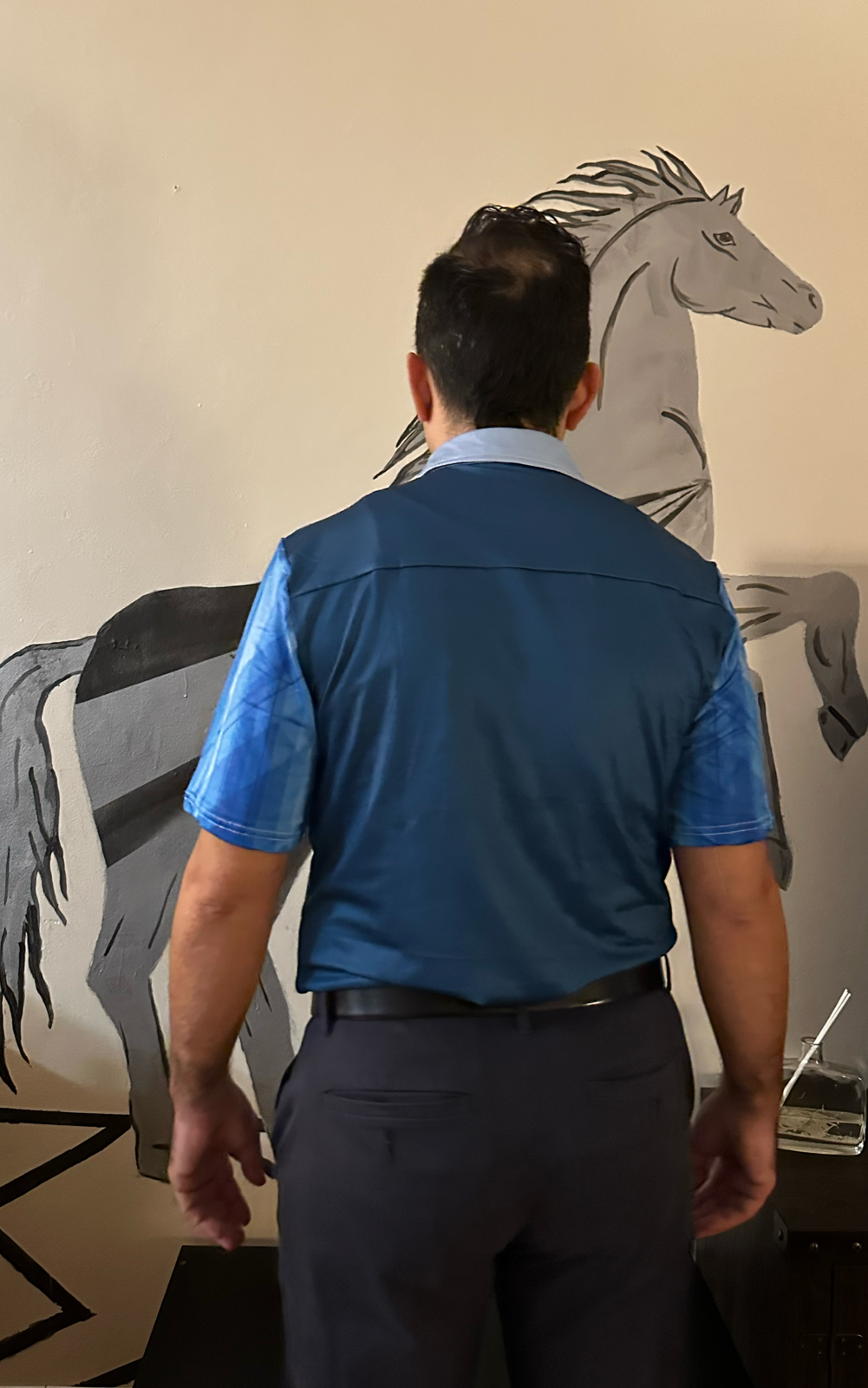 Blue line,Casual shirt,Short sleeve for Men